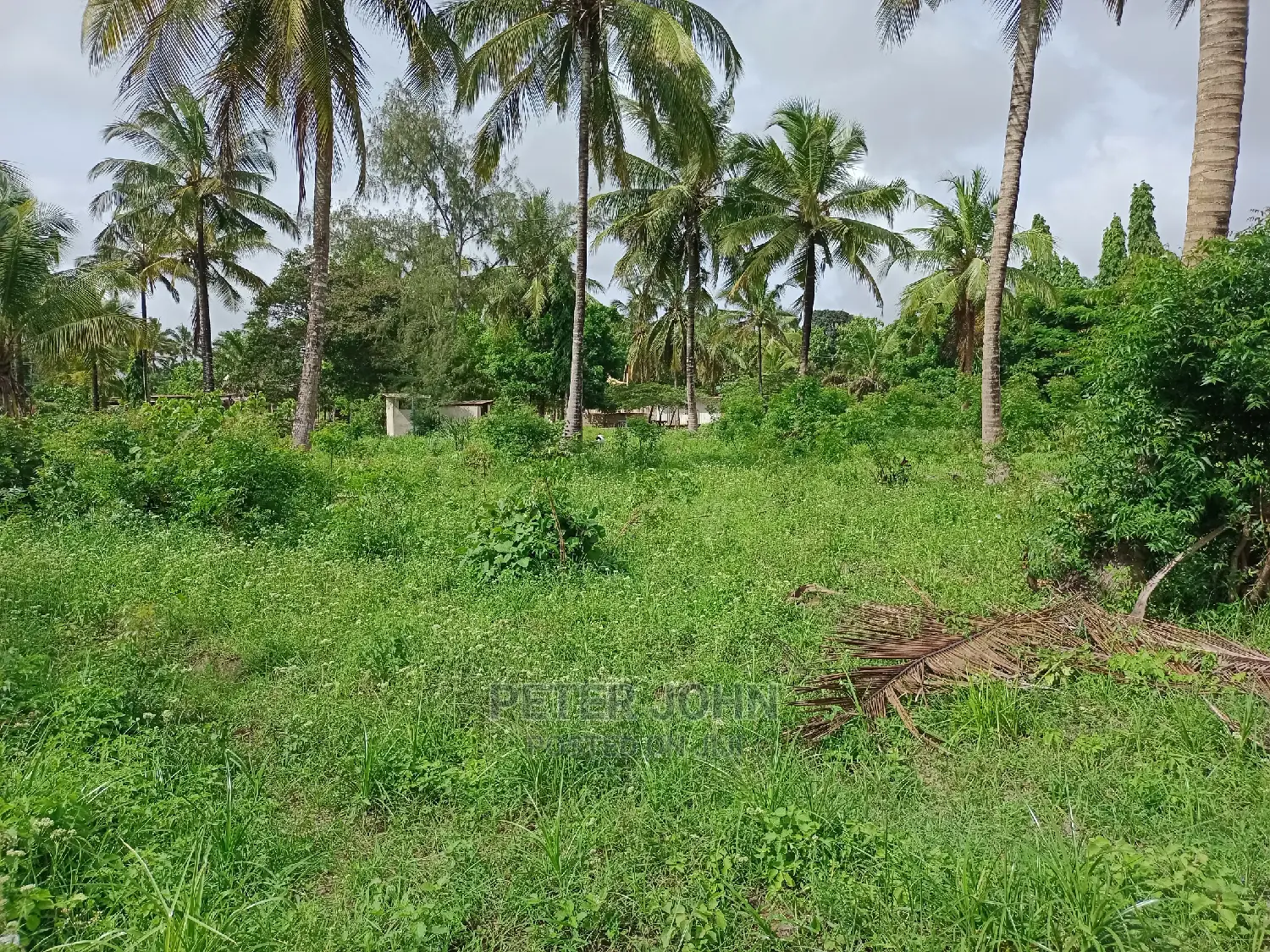Kiwanja Karibu Na Barabara Ya Lami in Goba