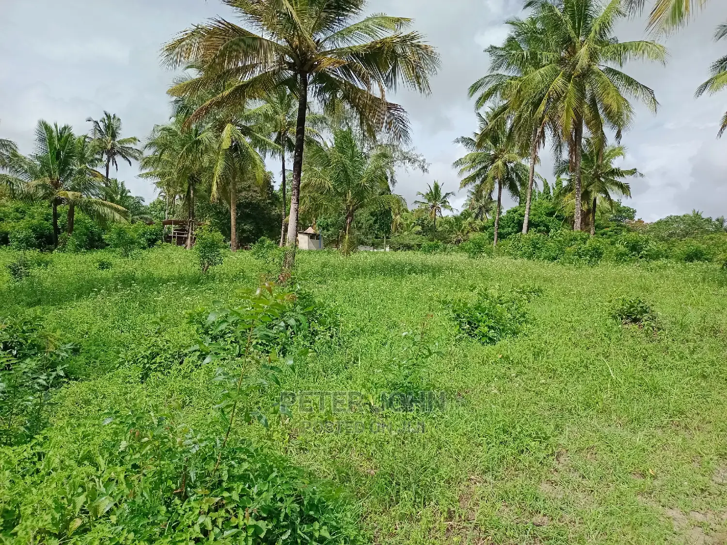 Kiwanja Kimepimwa in Goba