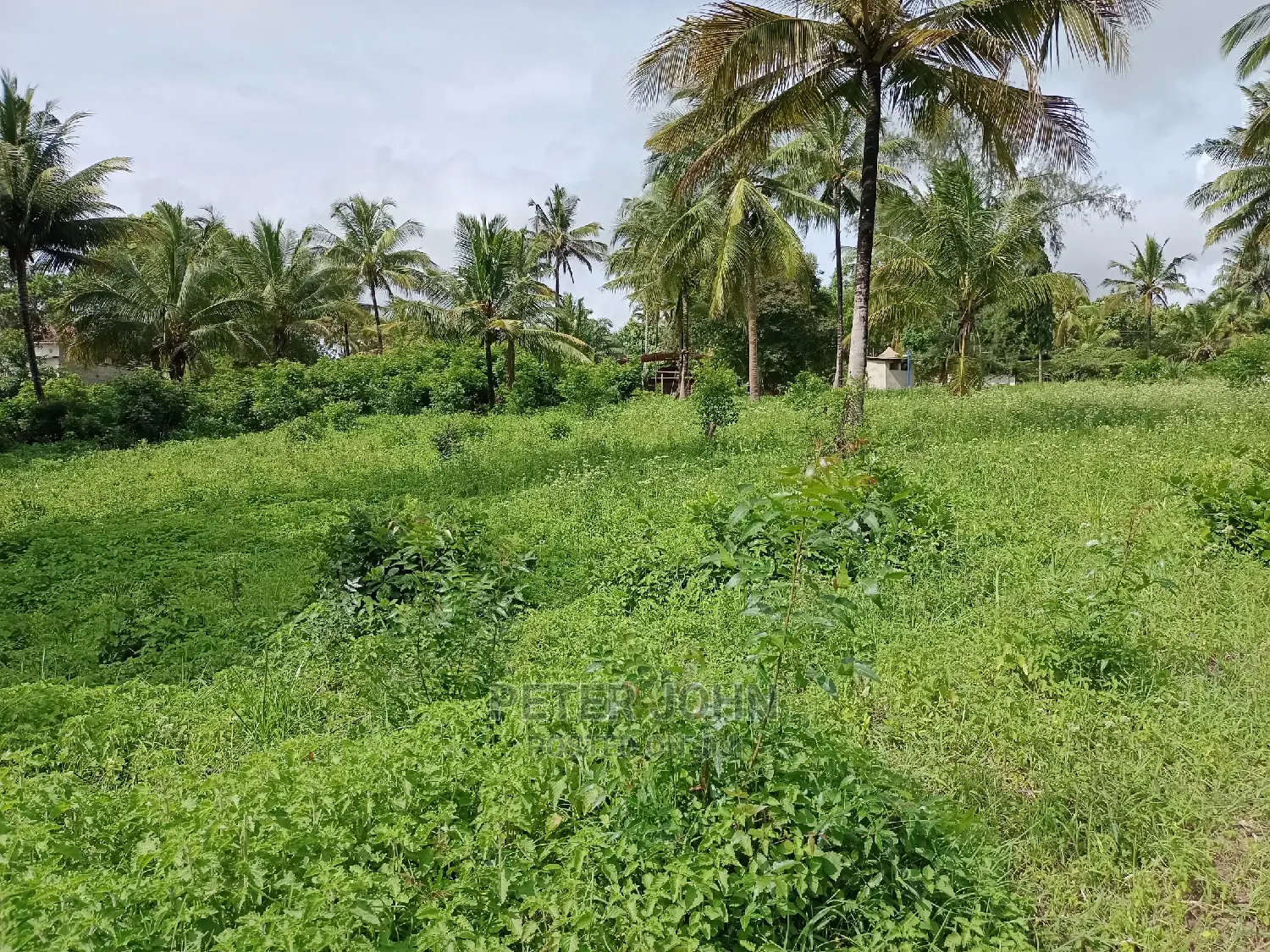 Kiwanja Kimepimwa in Goba