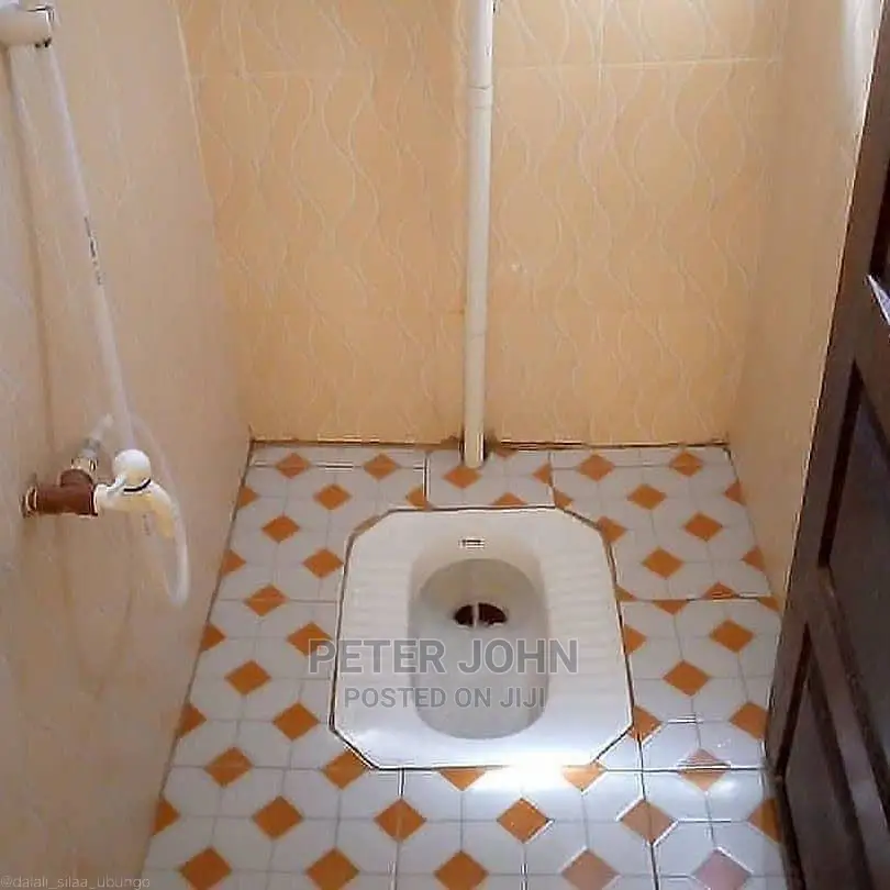 1bdrm Shared Apartment in Kariakoo for Rent in Kariakoo