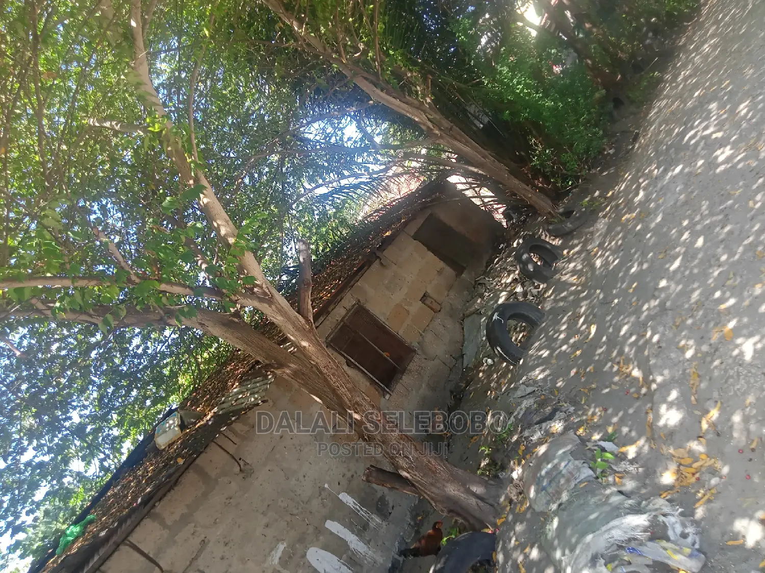 Survey Milioni 70 in Kinondoni