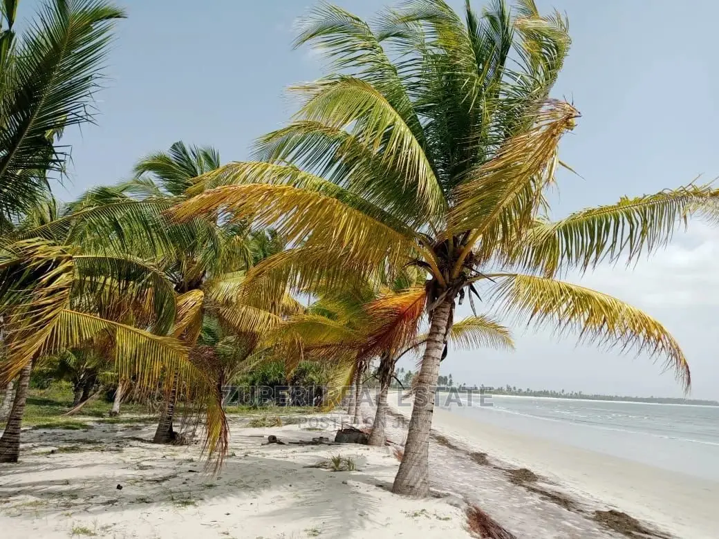 Sange Beach Plot for Sale. in Mkwaja
