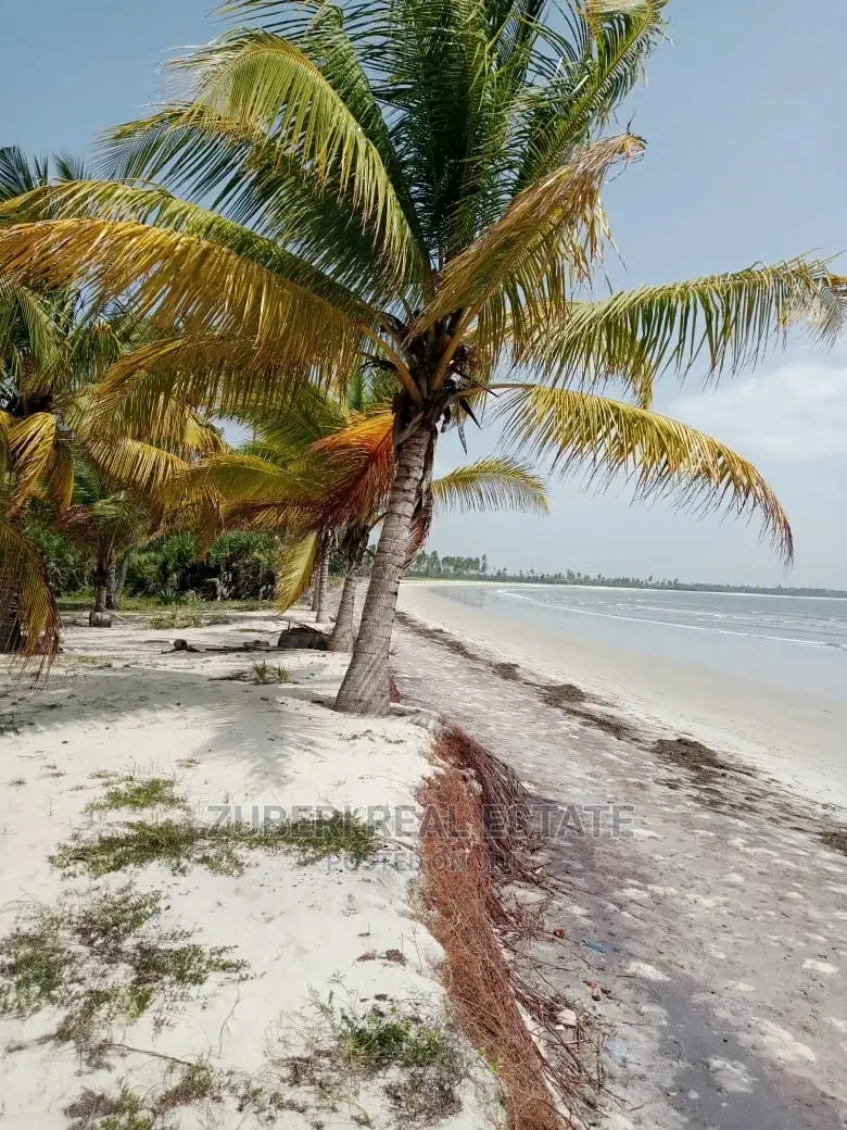 Sange Beach Plot for Sale. in Mkwaja
