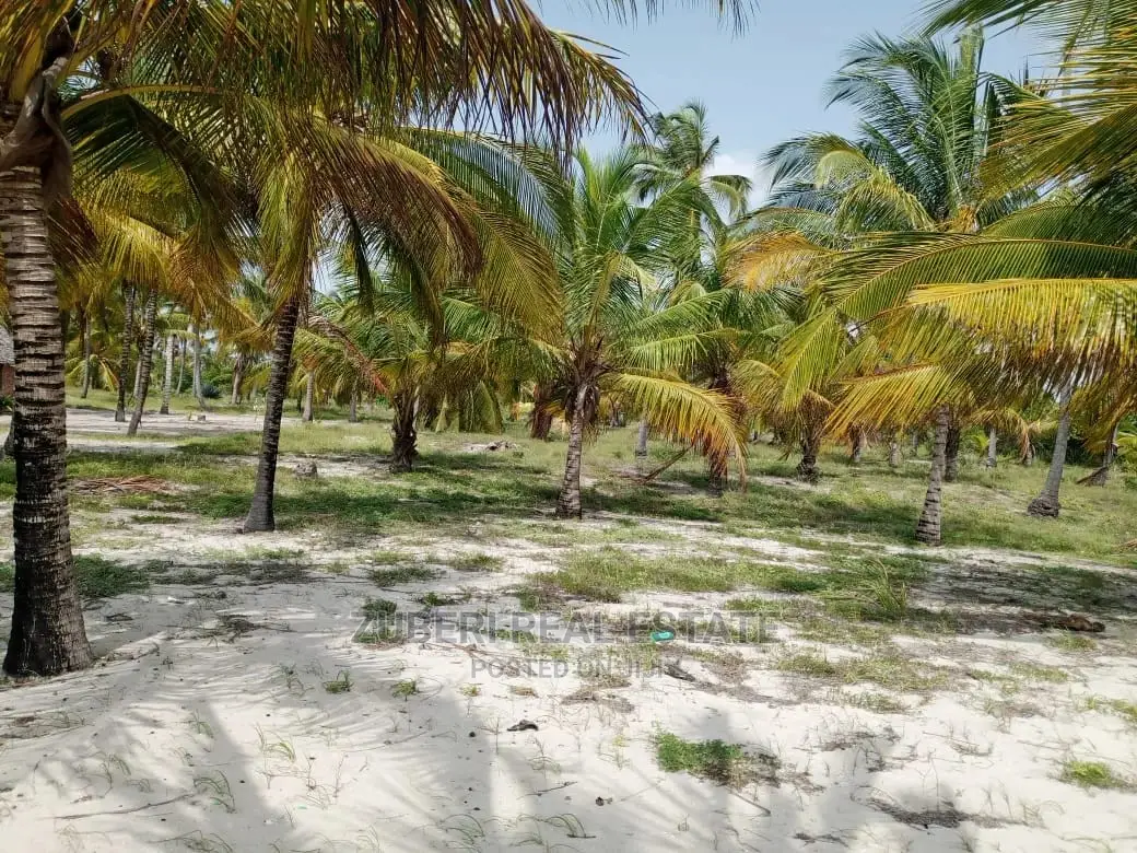 Sange Beach Plot for Sale. in Mkwaja