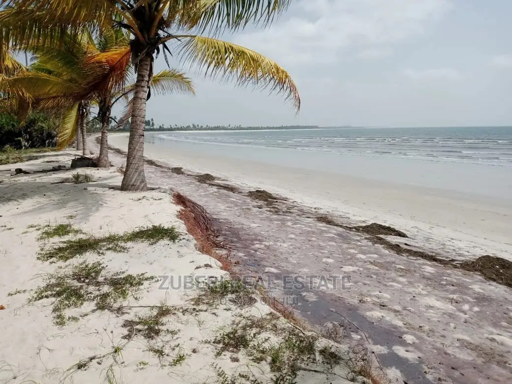 Sange Beach Plot for Sale. in Mkwaja