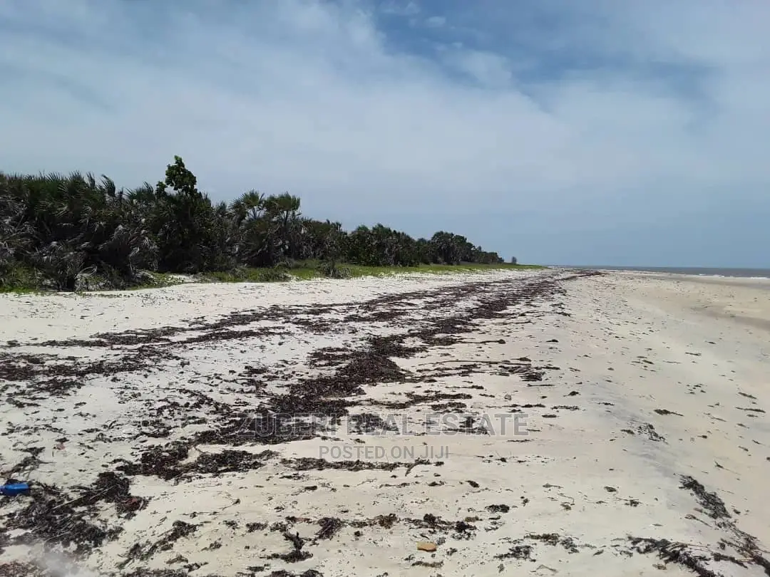 Buyuni Pangani Beach Plot for Sale in Mkwaja