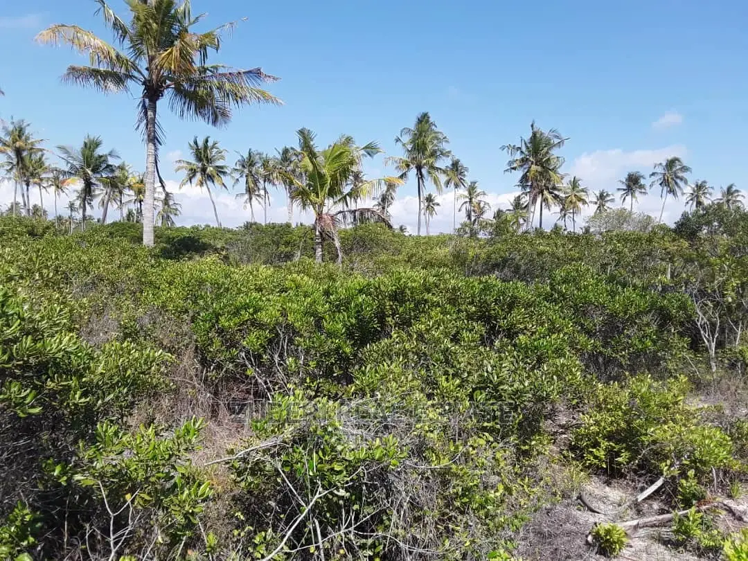 Beach Plot for Sale Pangani in Mkwaja