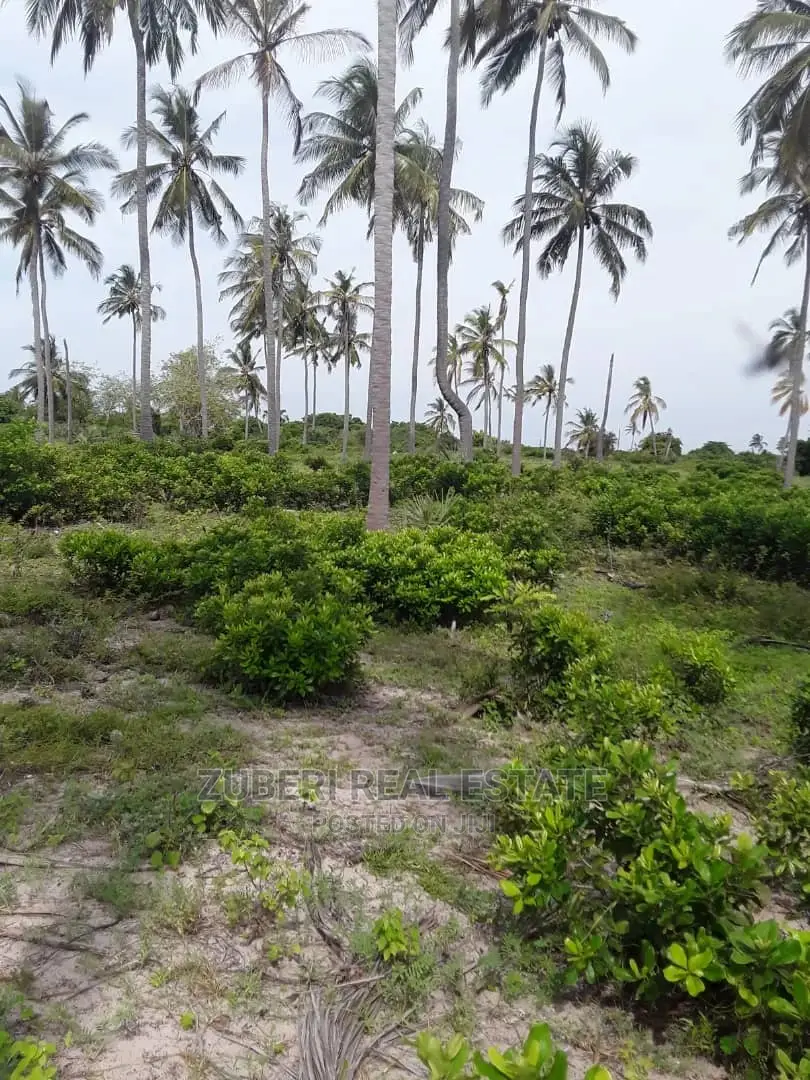 Beach Plot for Sale Pangani in Mkwaja