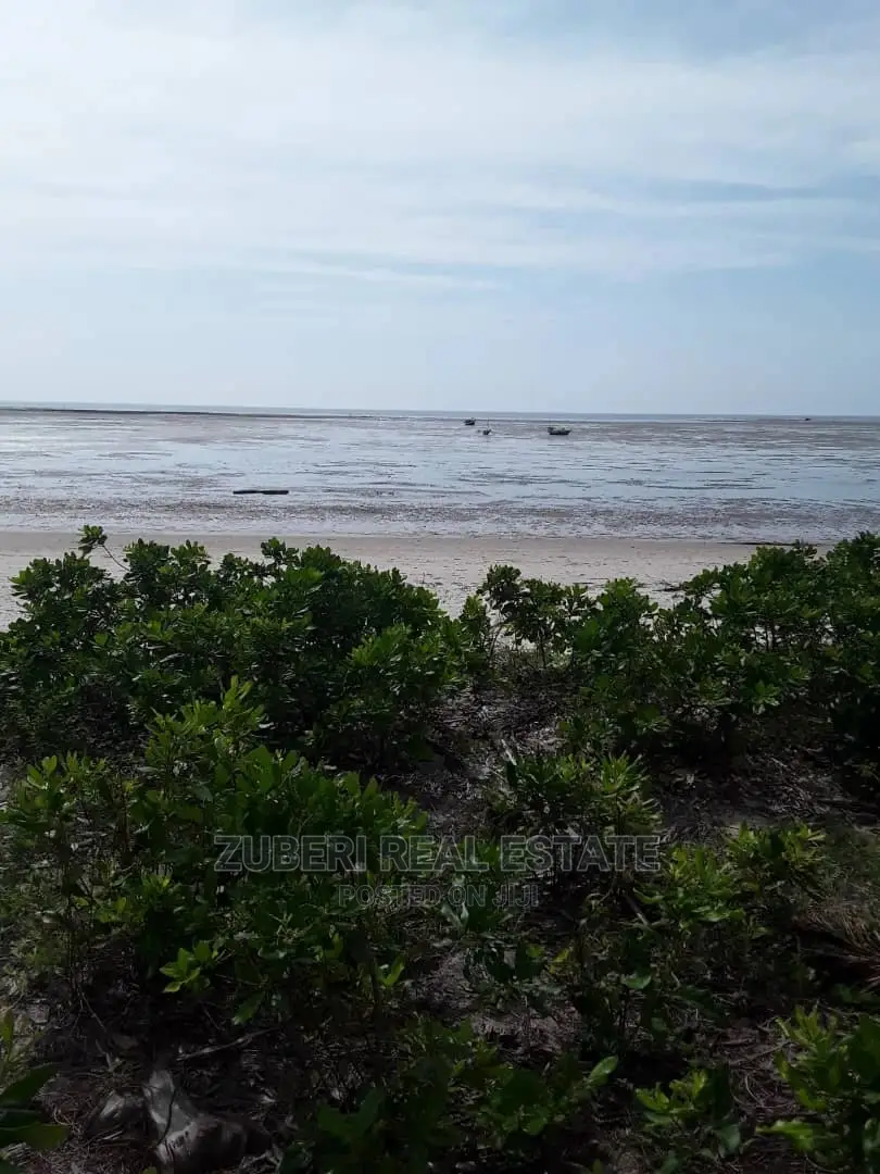 Makorora- Pangani Beach Plot for Sale in Mkwaja