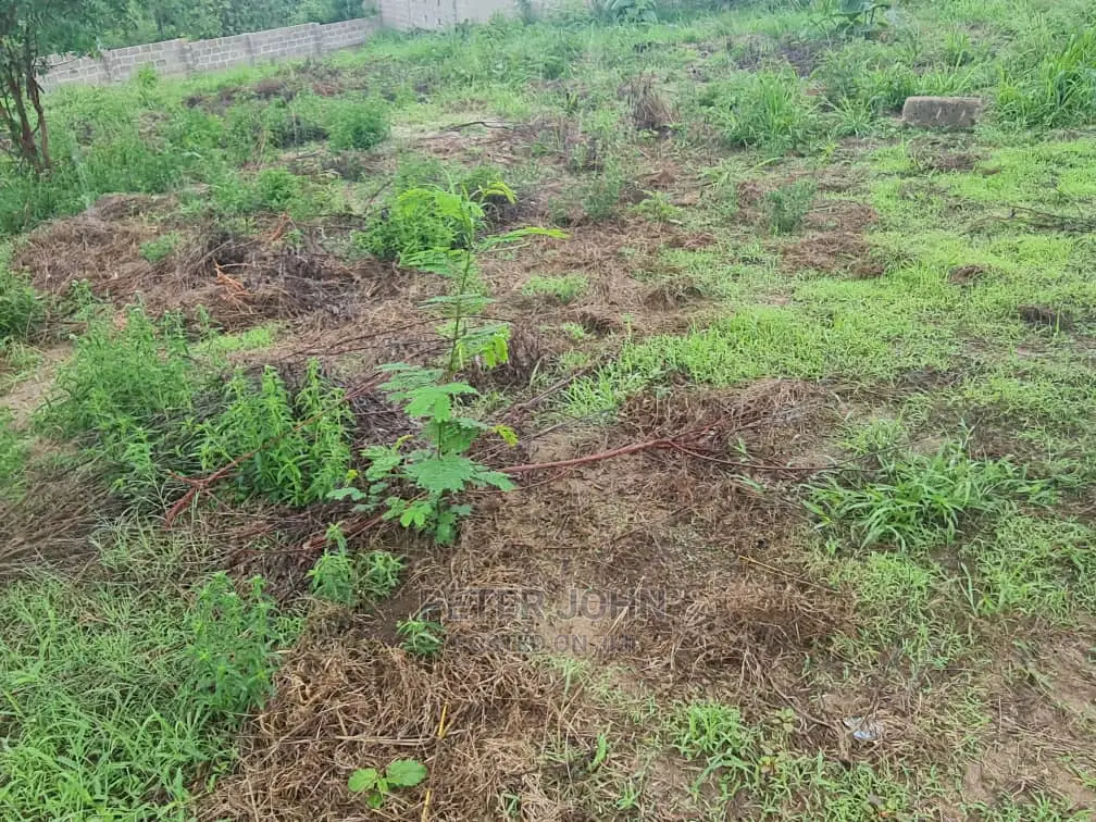 Kiwanja Karibu Na Lami Tambarare in Goba