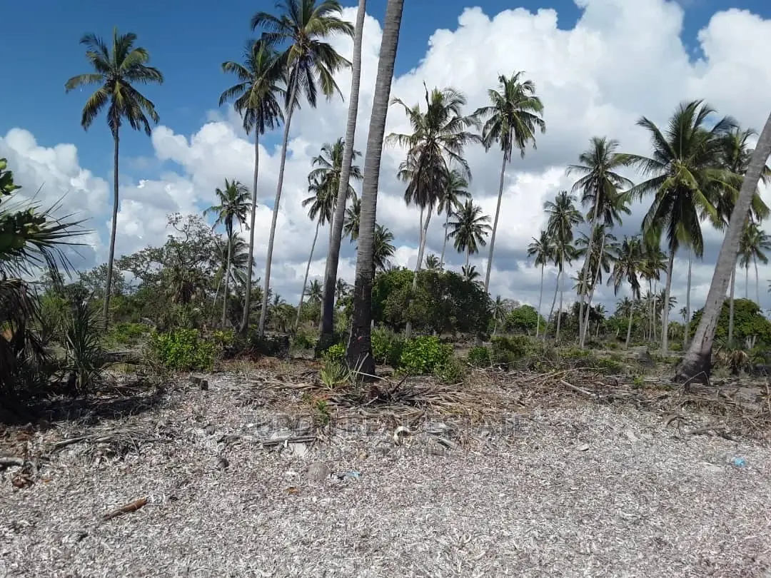 Sange 'Jiweni' Beach Plot for Sale in Mkwaja