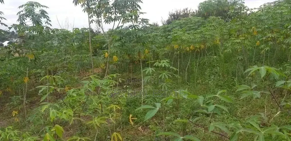 Plot for Sale in Kinondoni
