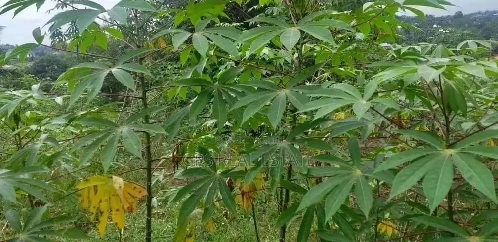Plot for Sale in Kinondoni