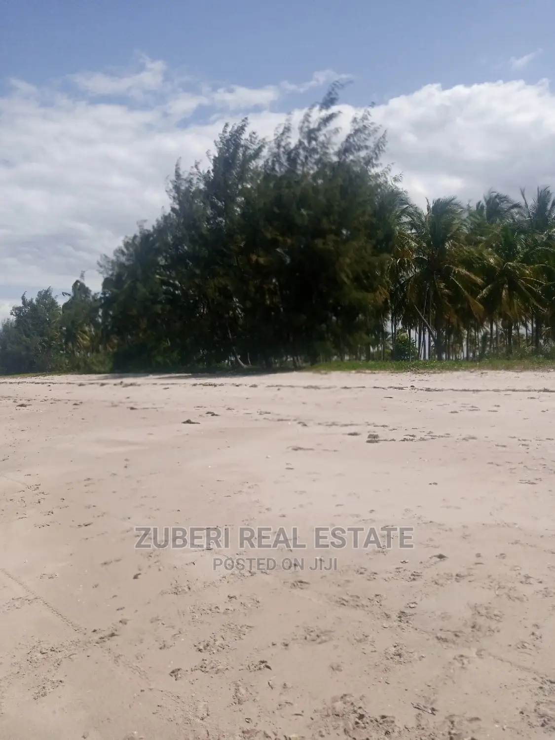 Incredible Beach Plot at Mkwaja in Mkwaja