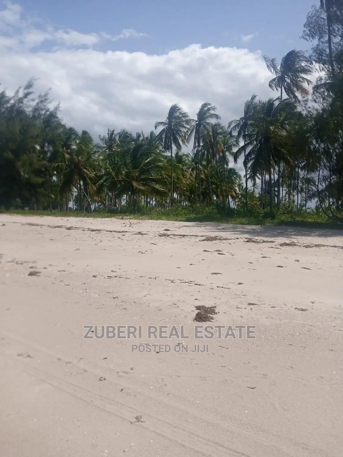 Incredible Beach Plot at Mkwaja in Mkwaja