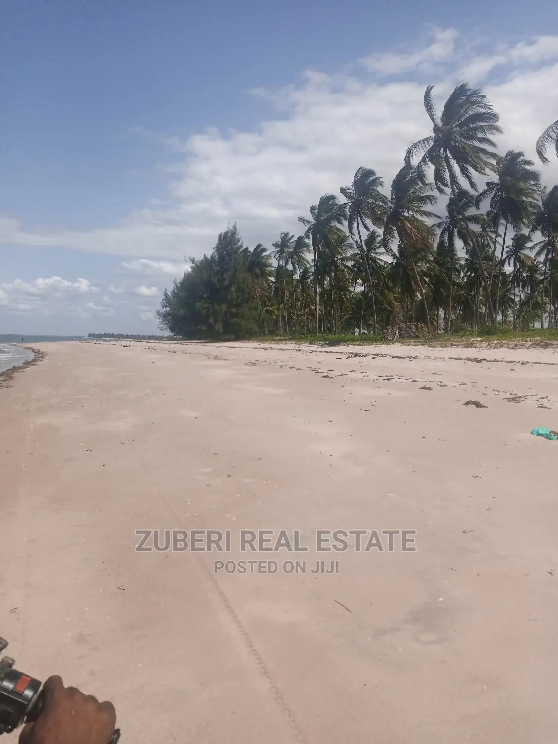 Incredible Beach Plot at Mkwaja in Mkwaja