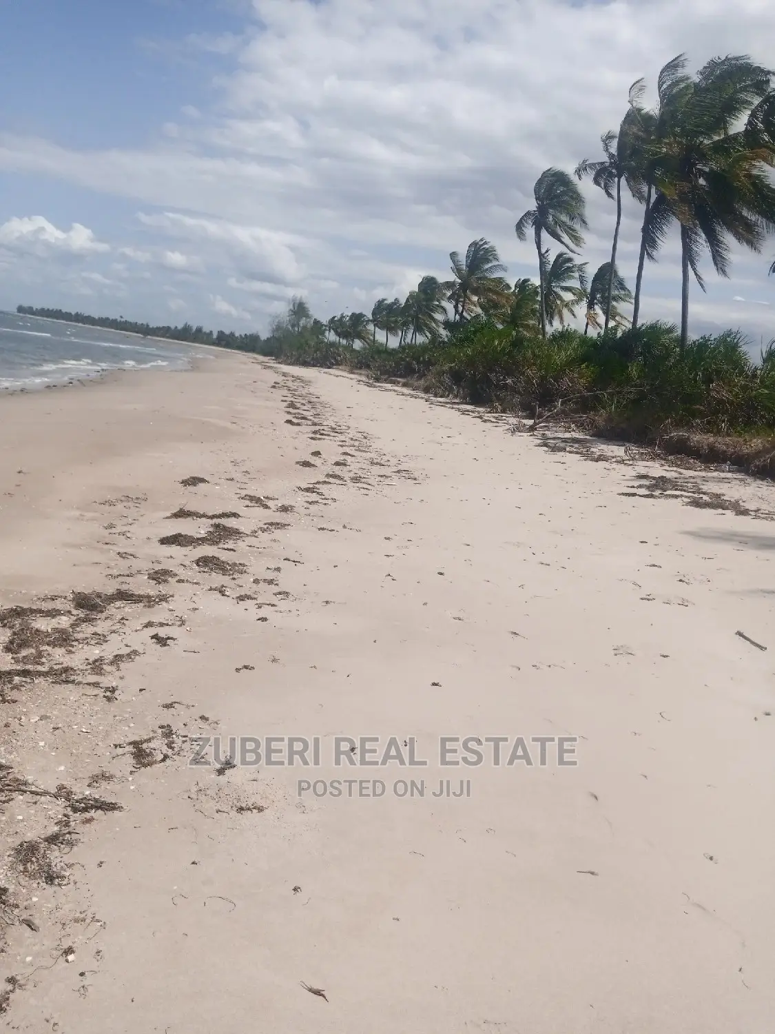 Incredible Beach Plot at Mkwaja in Mkwaja