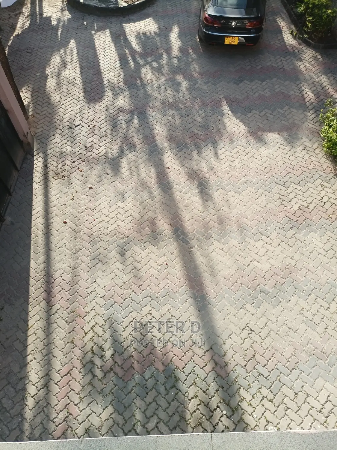 2bdrm Apartment in Mikocheni for rent in Mikocheni