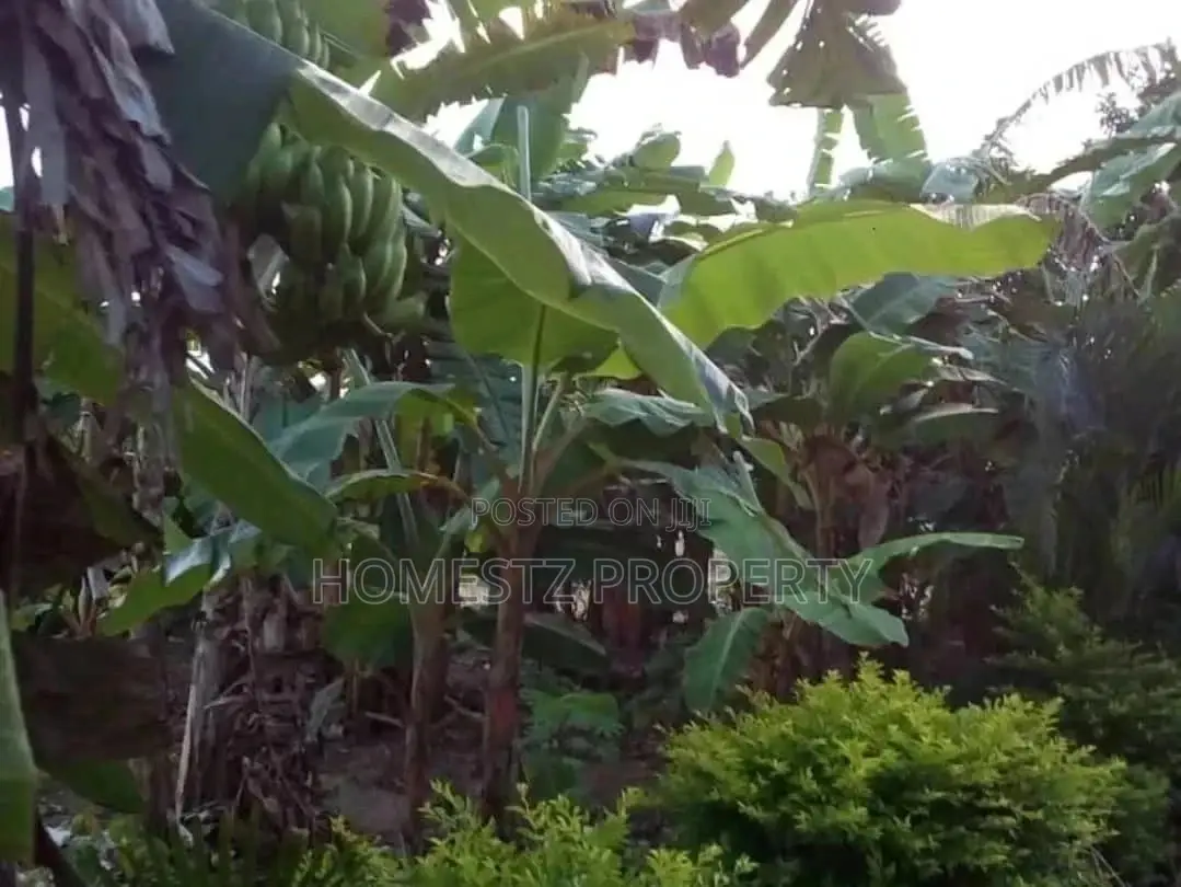 Two Bedroom House In Mapinga Bagamoyo For Sale in Kinondoni