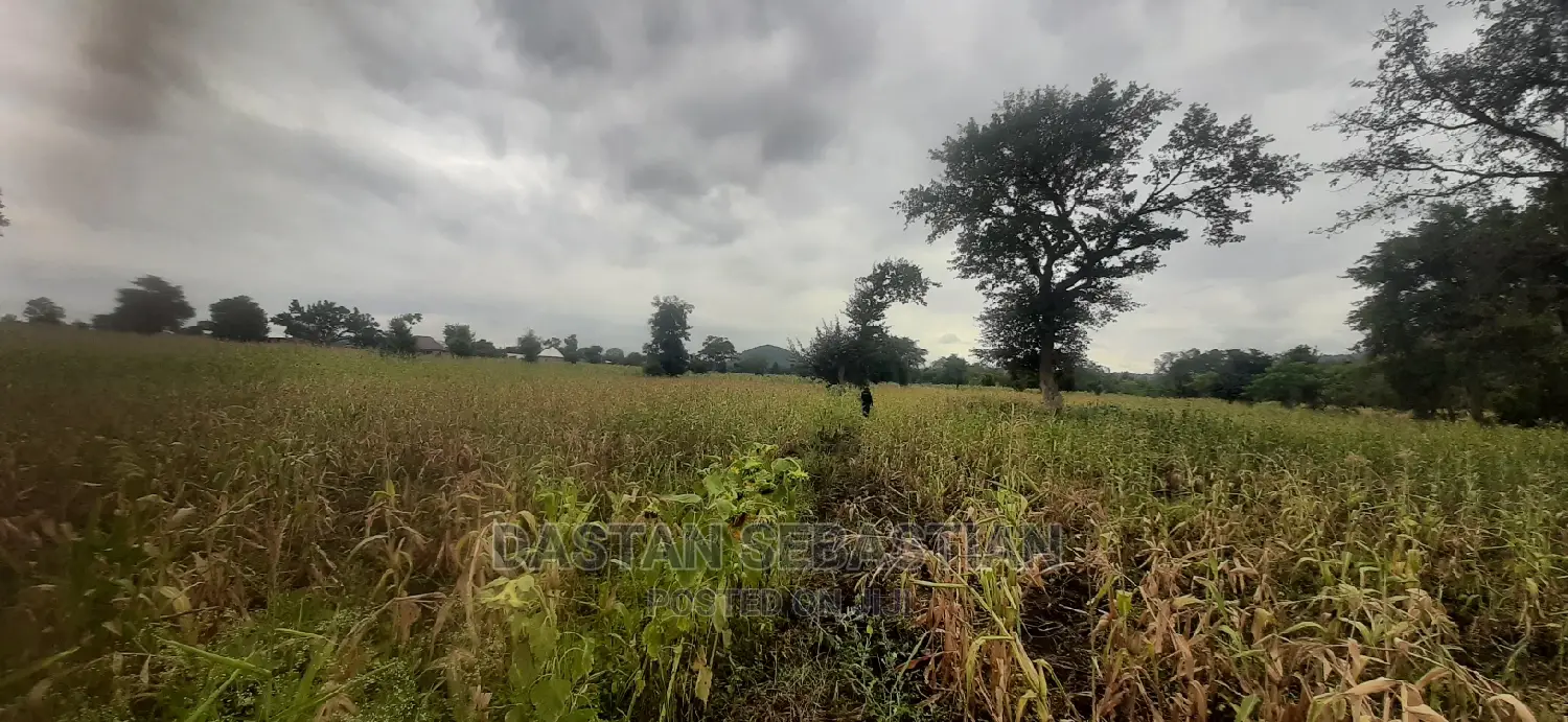 Viwanja Vya Makazi in Arusha