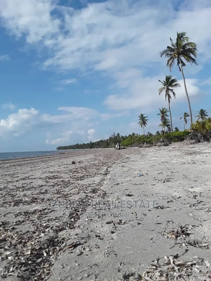 Mikocheni Beach Plot for Sale in Mkwaja