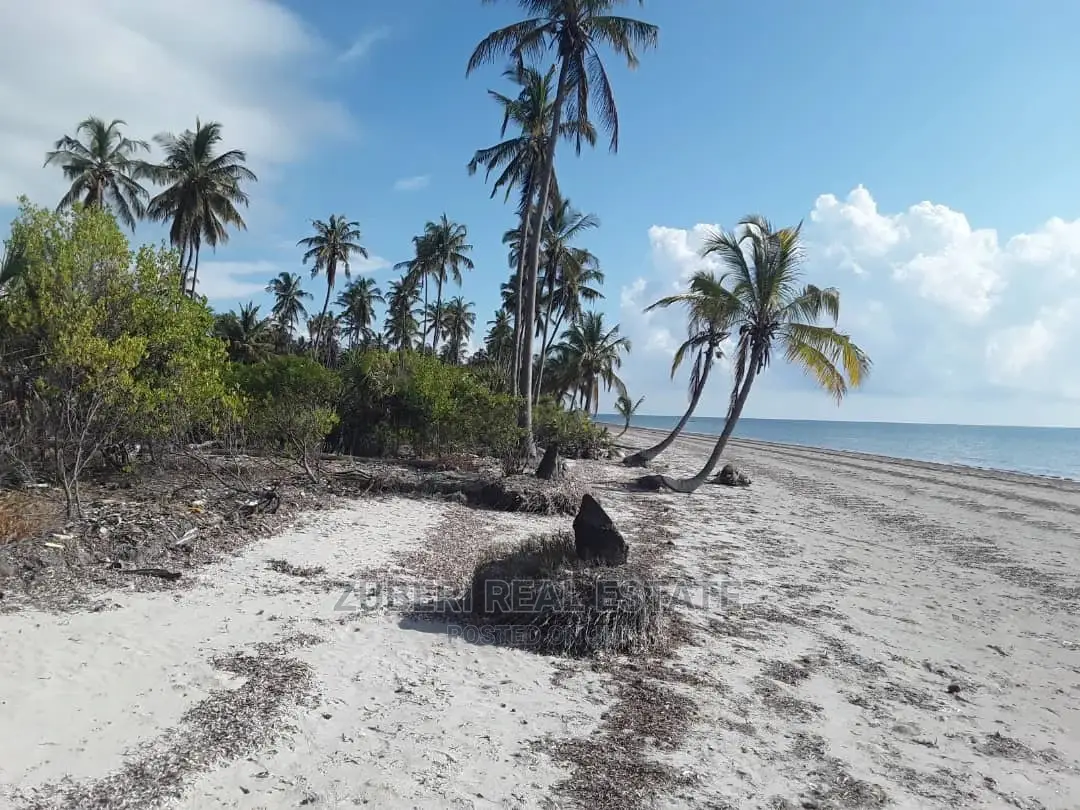 Mikocheni Beach Plot for Sale in Mkwaja