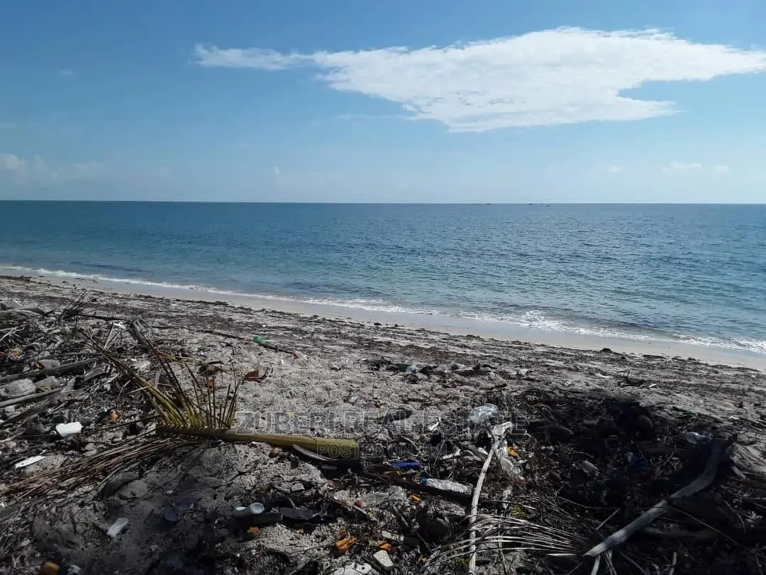 Mikocheni Beach Plot for Sale in Mkwaja