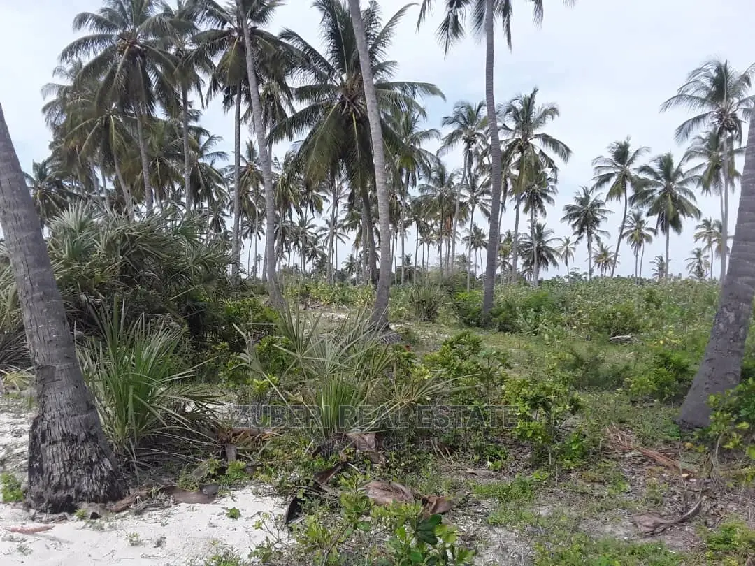 Sange Beach Plot for Sale in Mkwaja