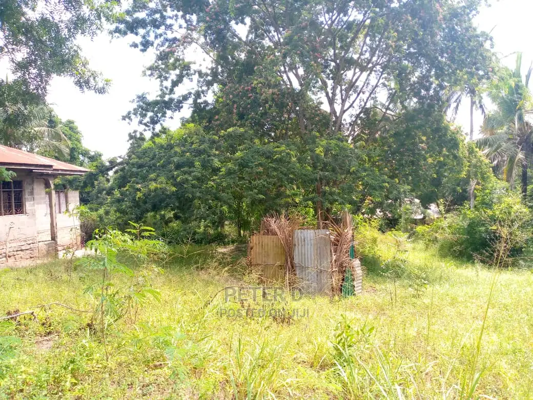 Eneo Kubwa Sana Bei Poa in Kibamba