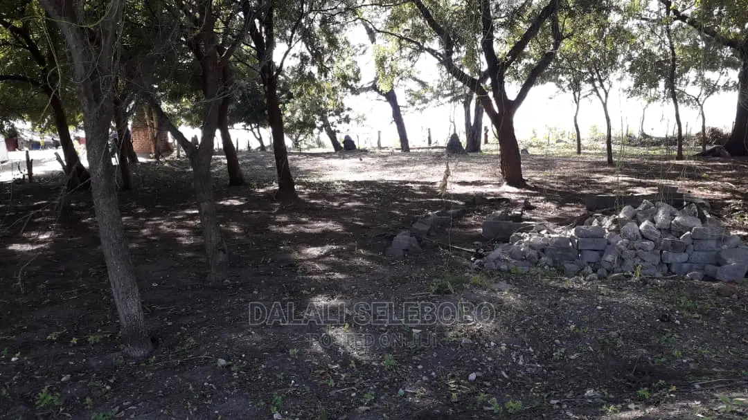 Beach Plot at Pangani Milioni 80 in Pangani