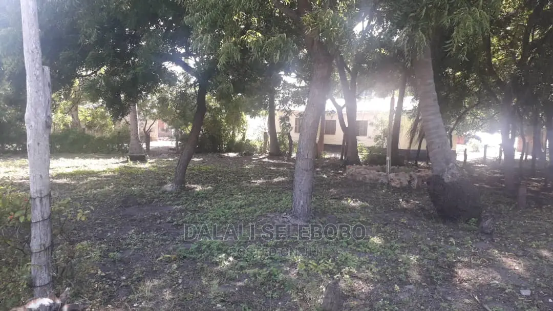 Beach Plot at Pangani Milioni 80 in Pangani