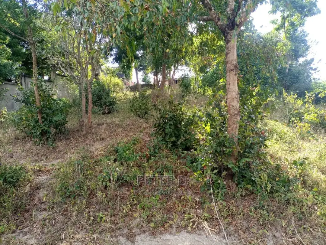 Kiwanja Kwa Bei Mseleleko in Kimara