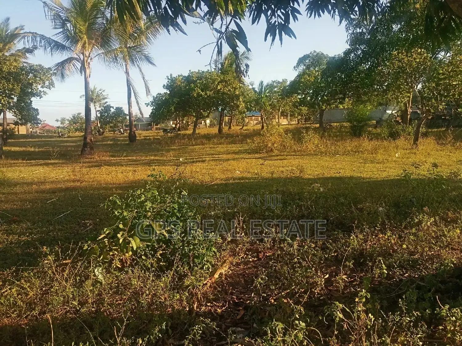Clean Titled Plot for Sale in Kigamboni