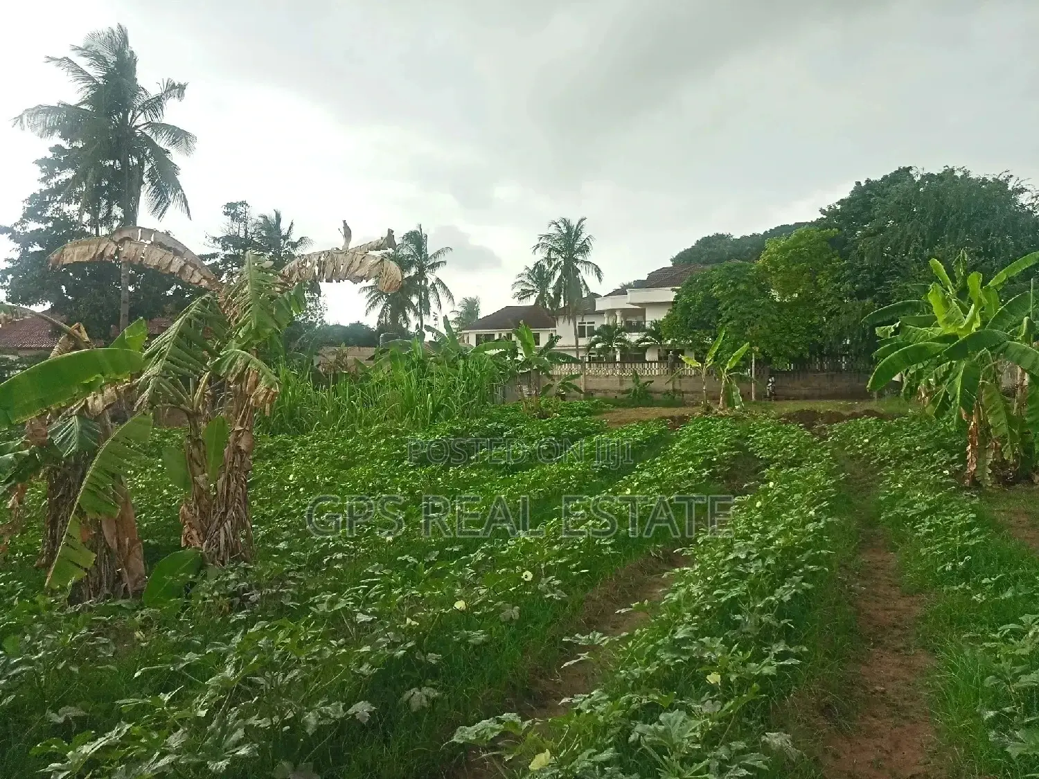 Titled Plot for Sale in Kinondoni