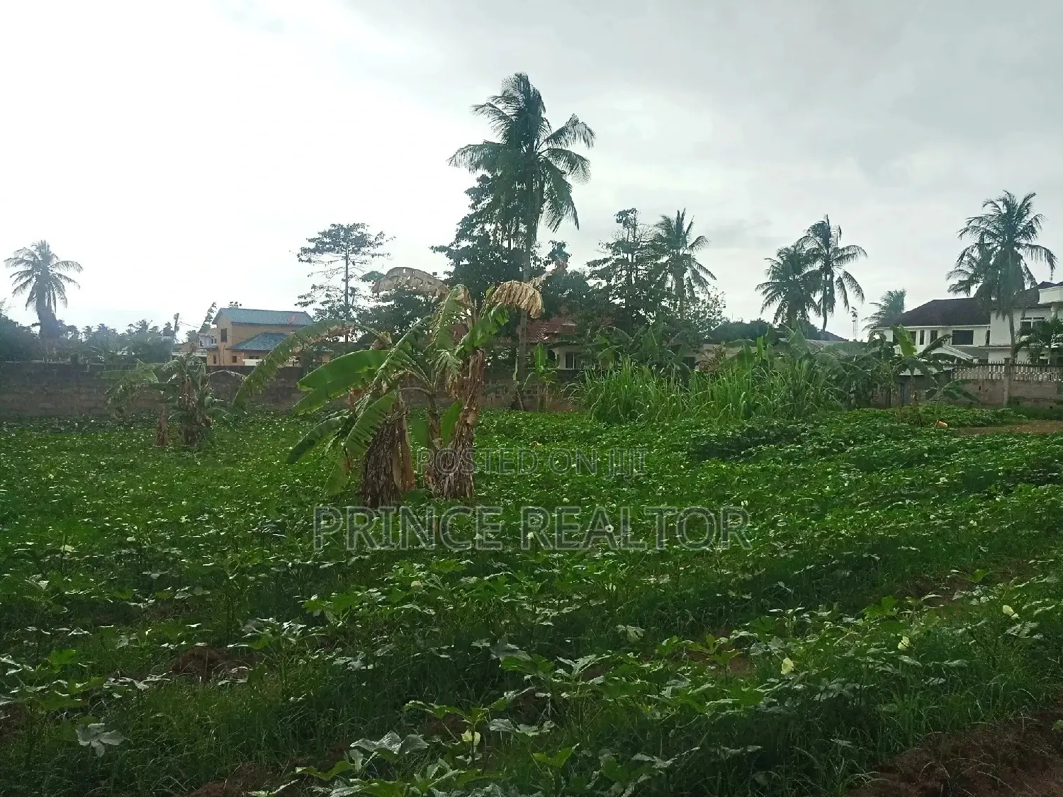 Titled Plot for Sale in Kinondoni