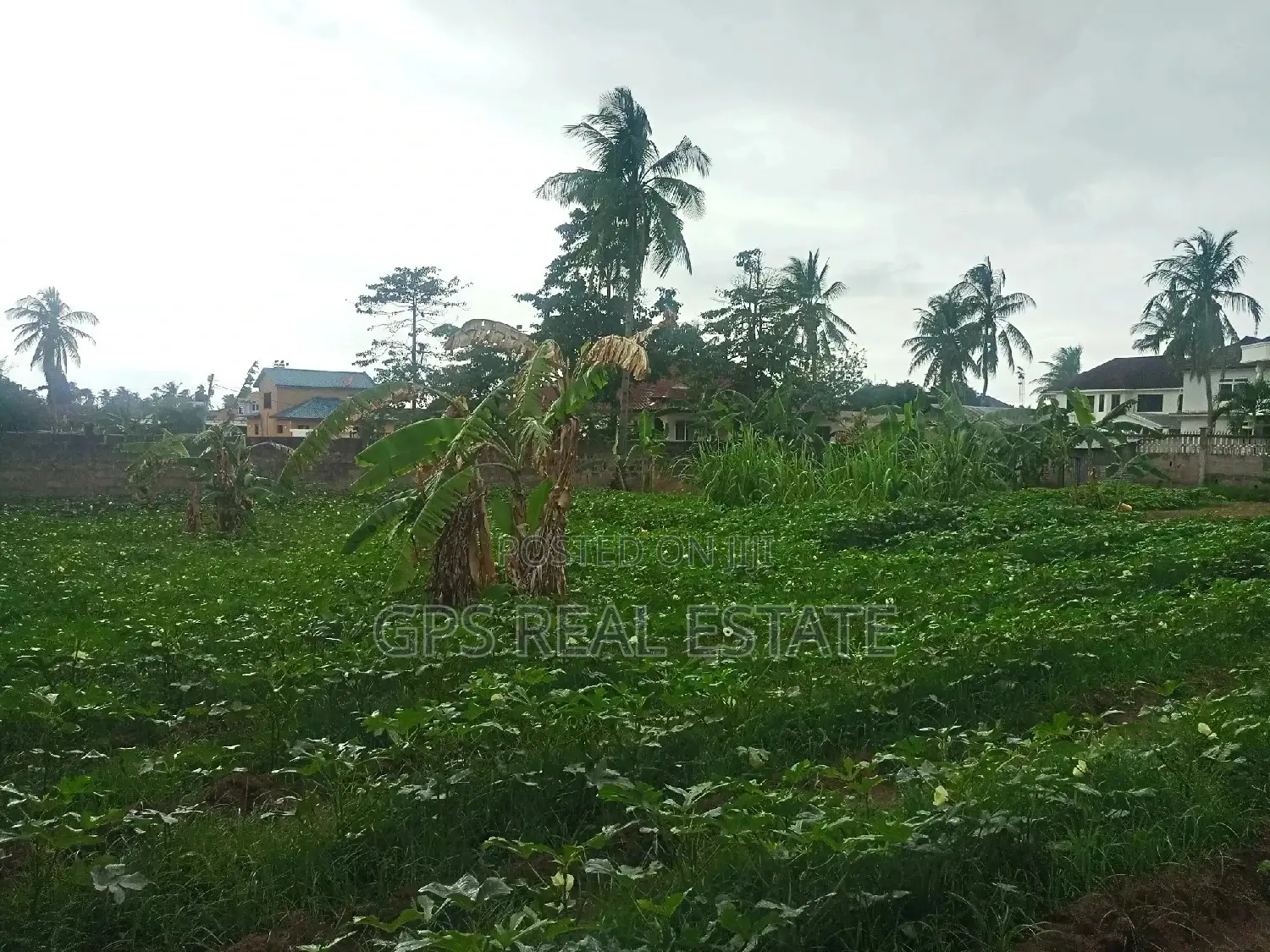 Titled Plot for Sale in Kinondoni