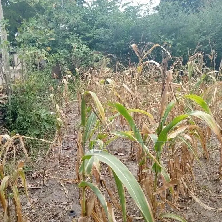 Plot for Sale ( Airpot ) in Ilala