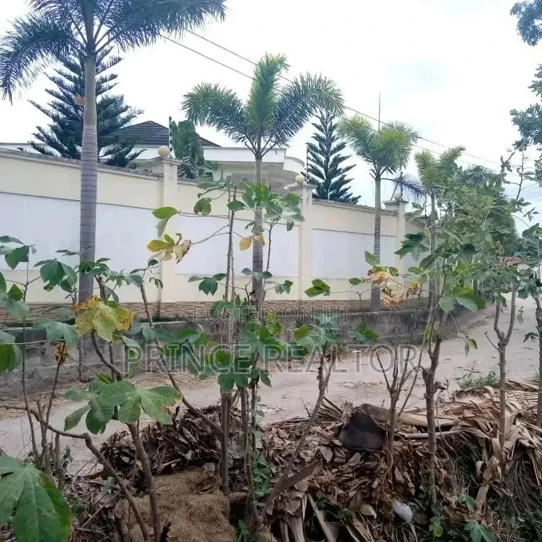 Plot for Sale ( Airpot ) in Ilala