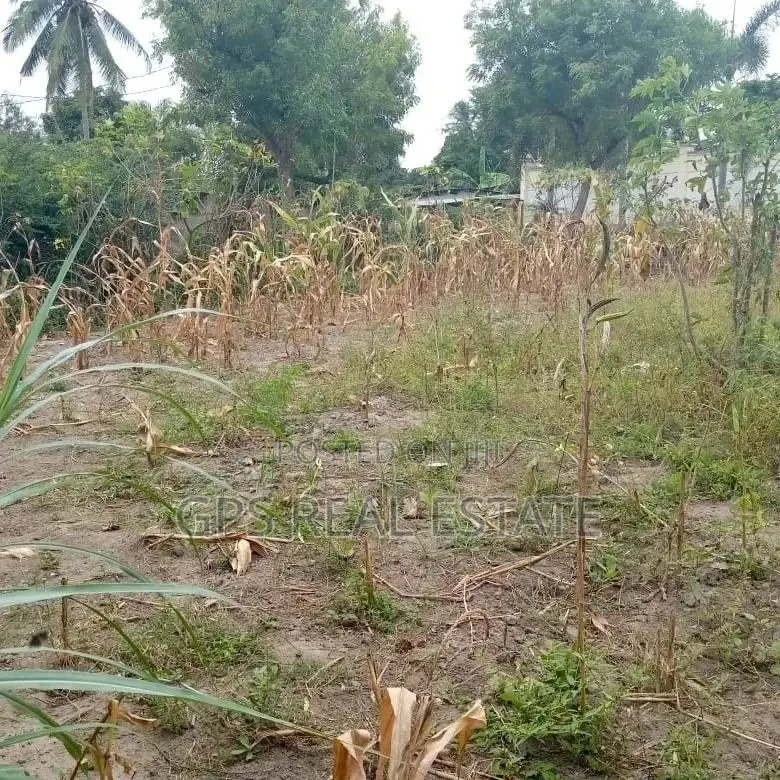 Plot for Sale ( Airpot ) in Ilala