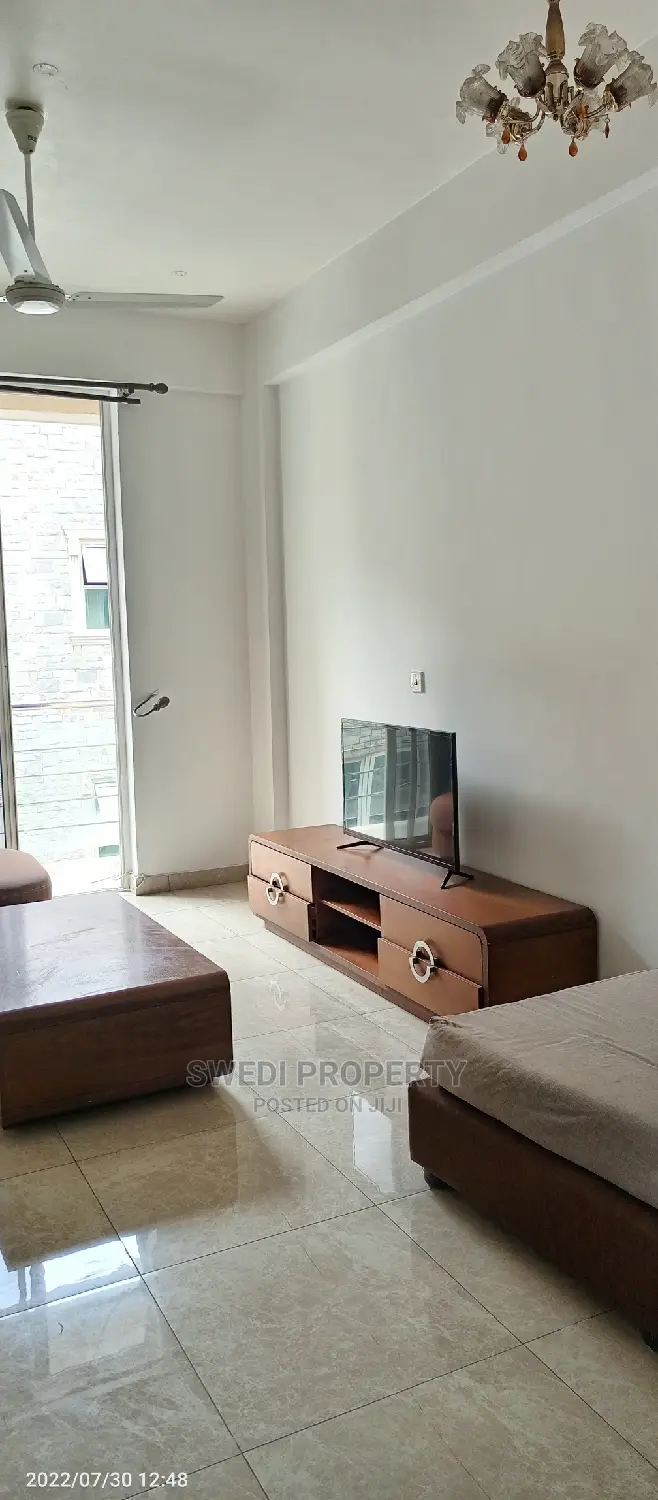 Furnished 3bdrm Apartment in Swedi Property, Oyster Bay for rent in Oyster Bay
