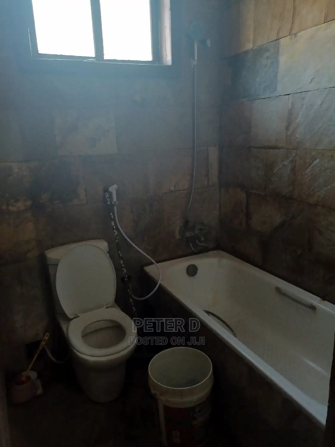 Furnished 1bdrm Apartment in Kijitonyama for rent in Kijitonyama