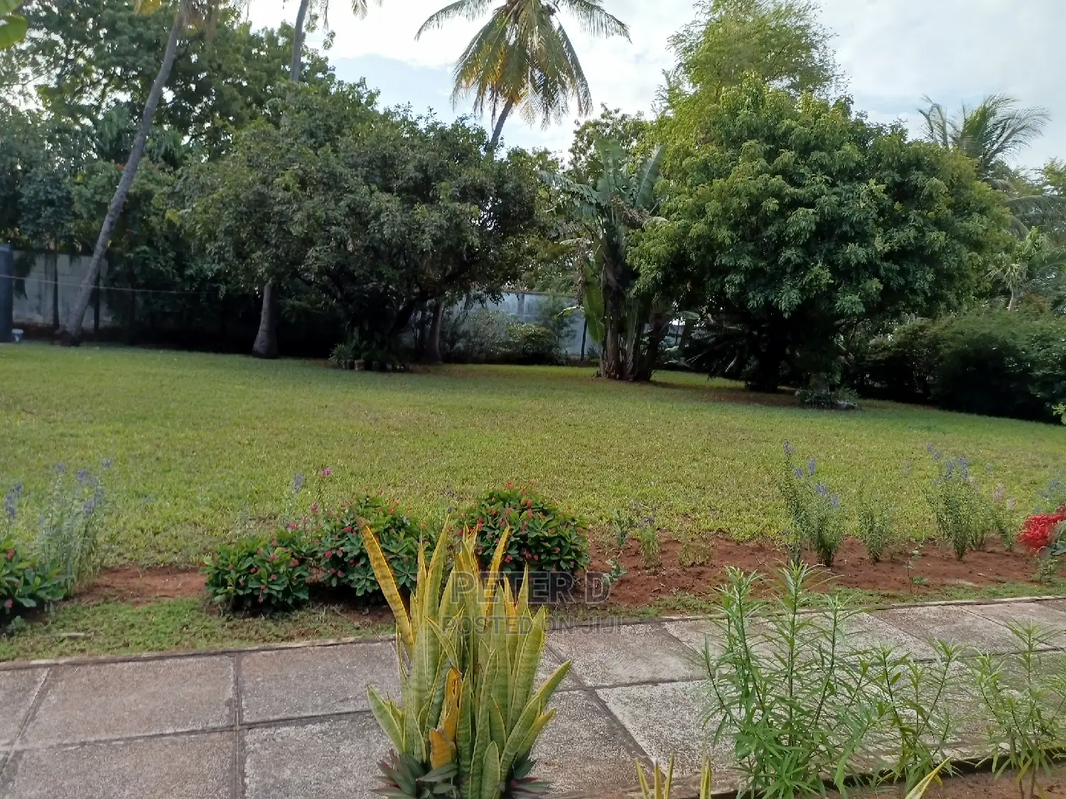 5bdrm House in Mikocheni for Rent in Mikocheni