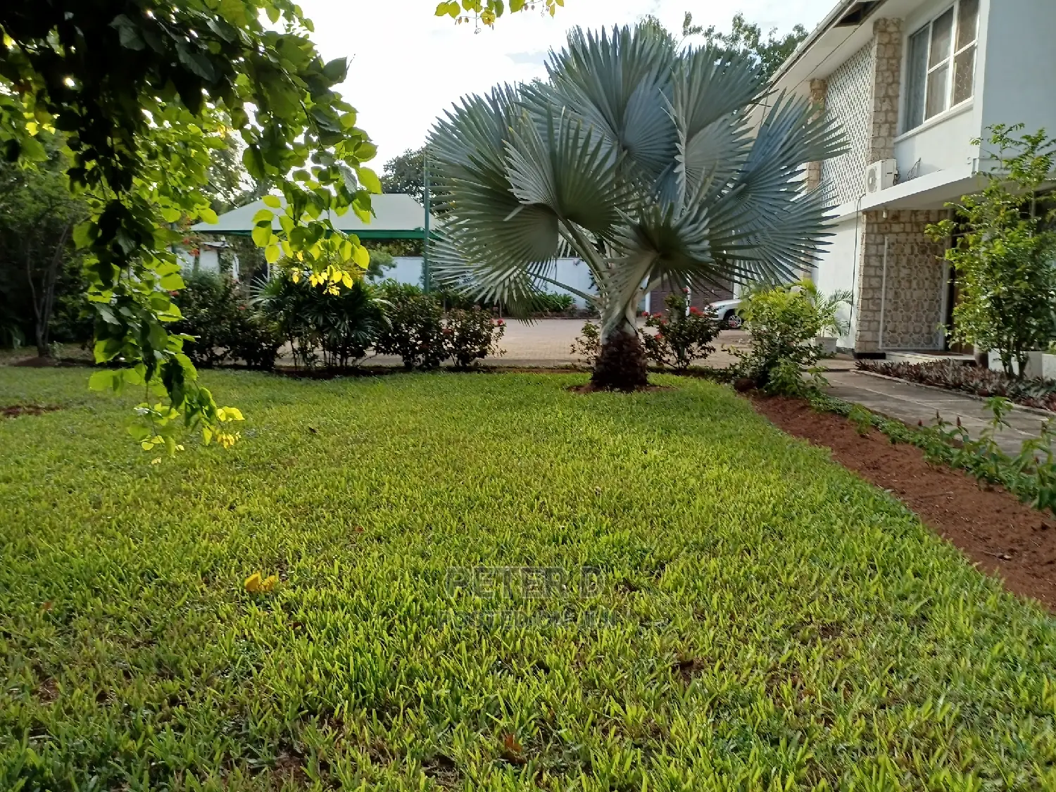 5bdrm House in Mikocheni for Rent in Mikocheni