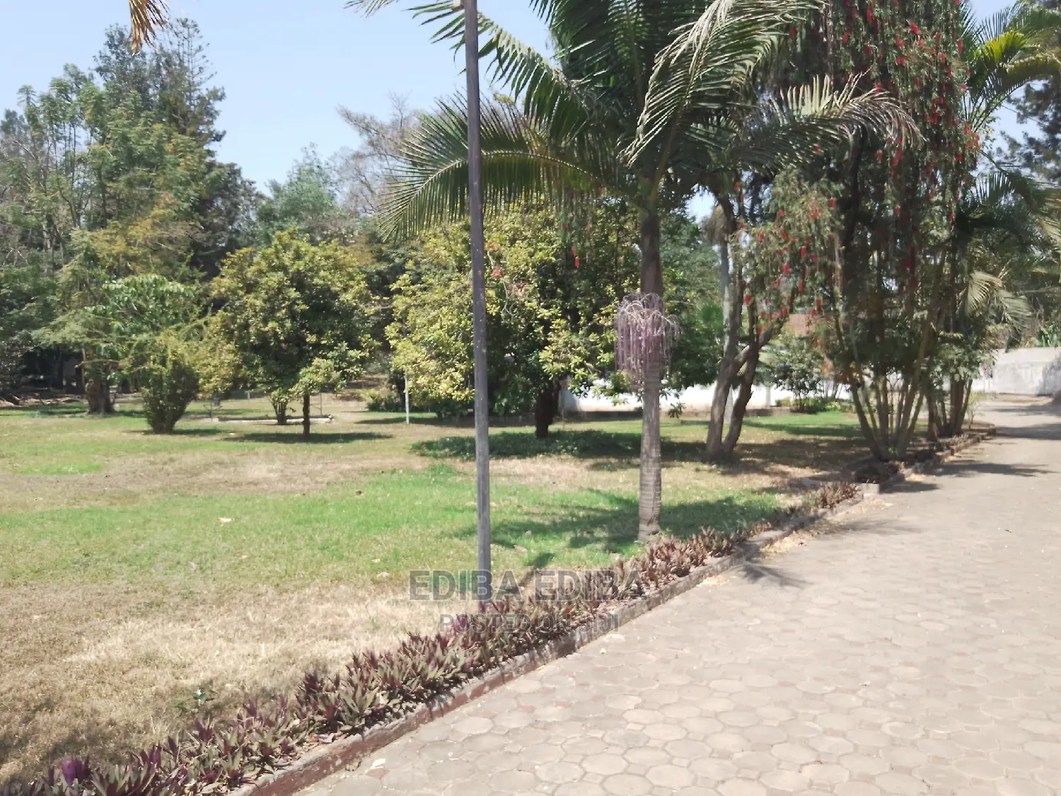 4bdrm Bungalow in Ediba Real Estate, Arusha for Rent in Arusha