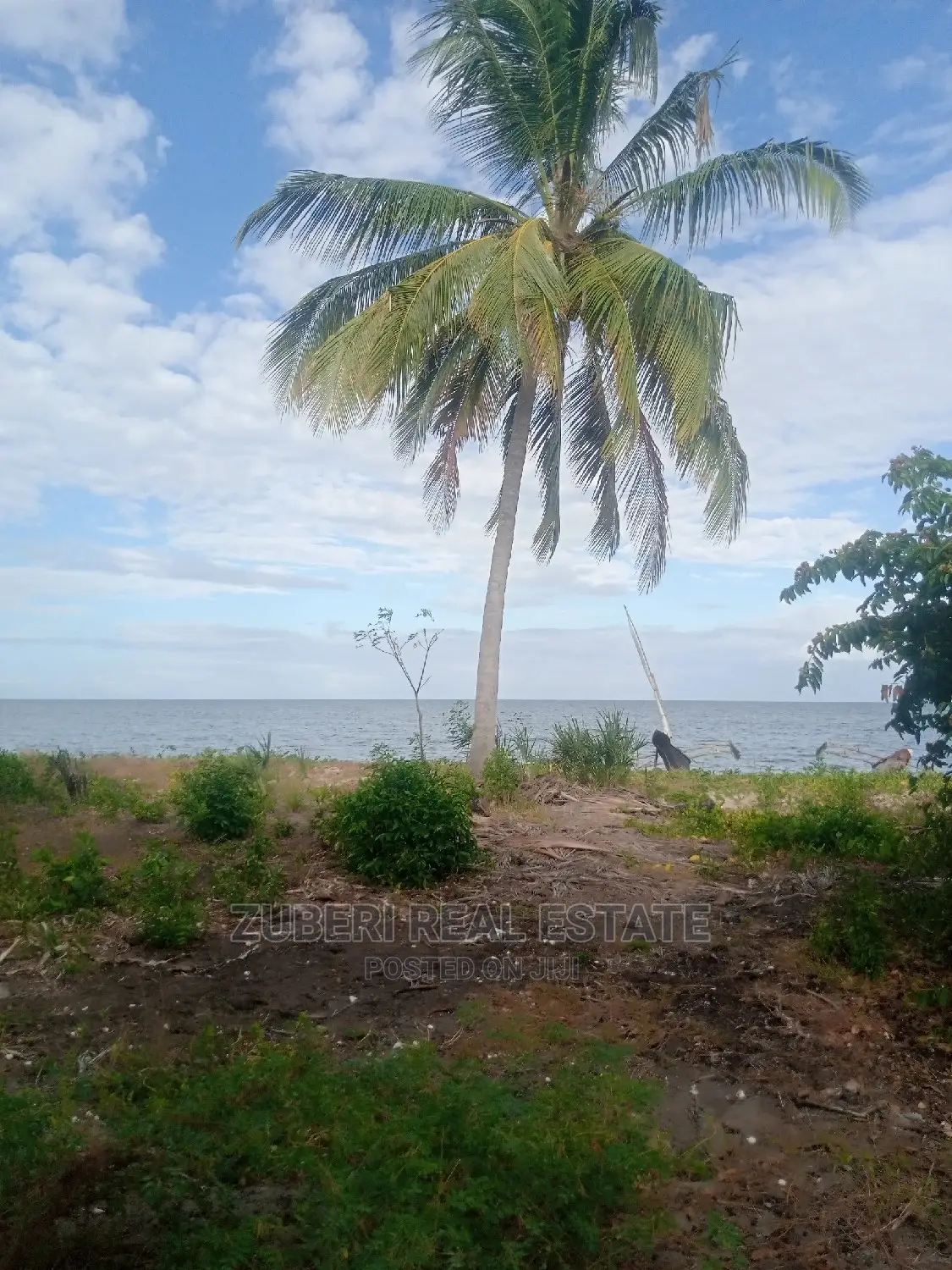 Beach Plot for Long Term Rental in Mikinguni