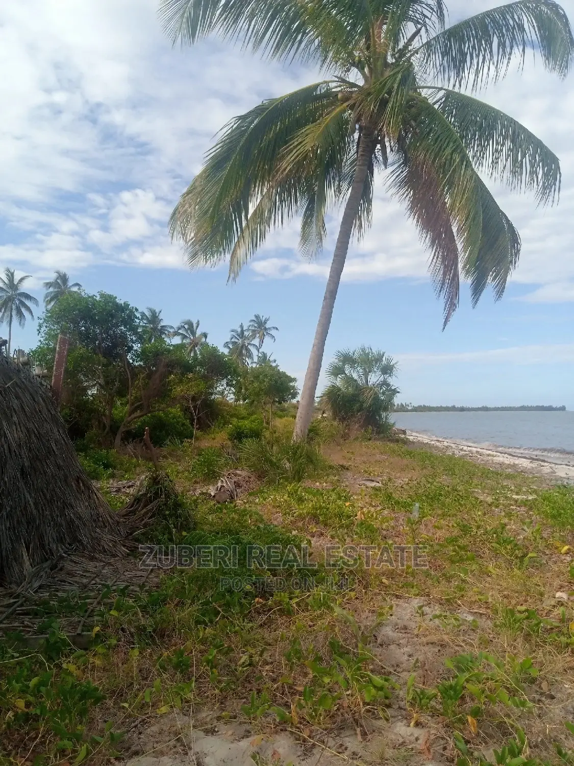 Beach Plot for Long Term Rental in Mikinguni