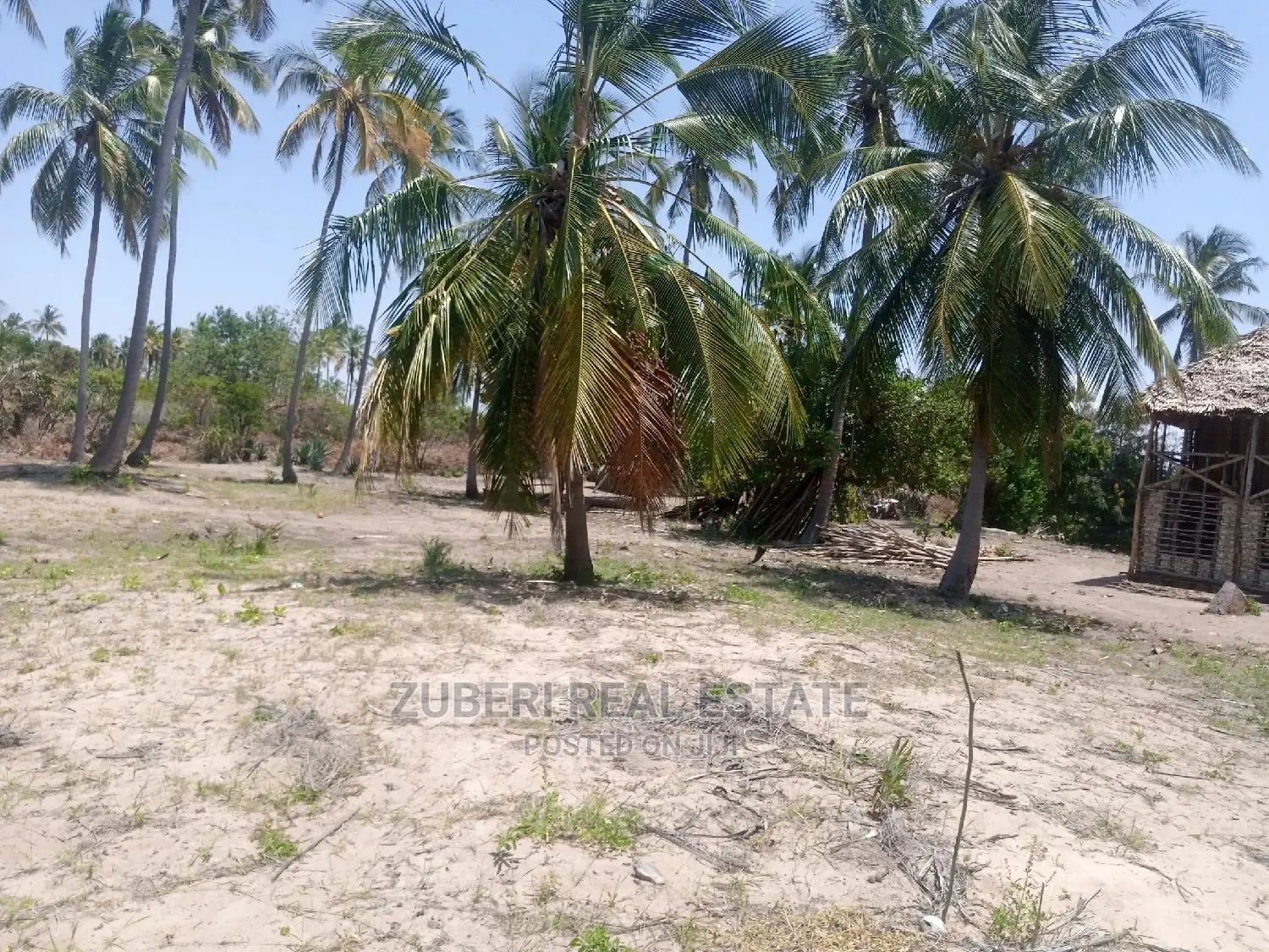 Lease Opportunity at Mikocheni Pangani. in Mkwaja