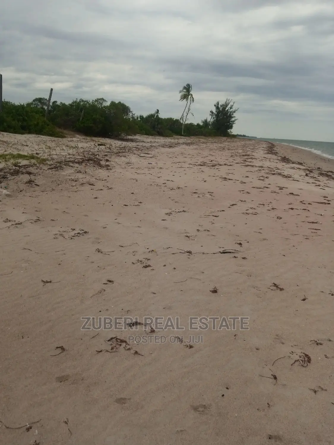 Beach Plot for Sale Mkwaja. in Mkwaja