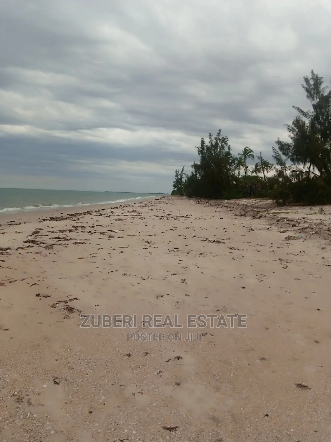 Beach Plot for Sale Mkwaja. in Mkwaja