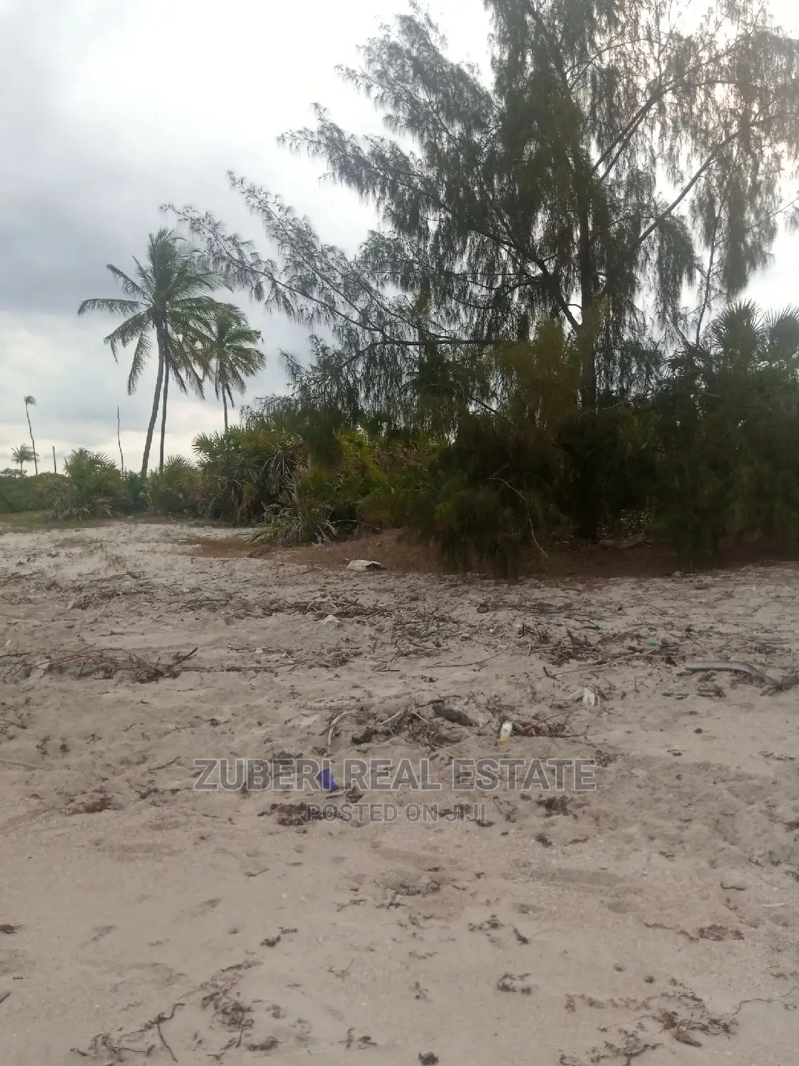 Beach Plot for Sale Mkwaja. in Mkwaja